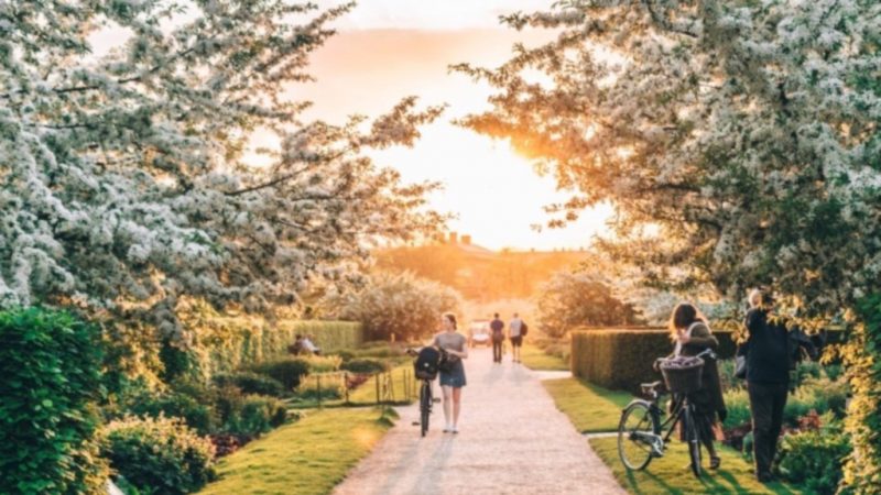 Kongens Have, photo from visitdenmark website
