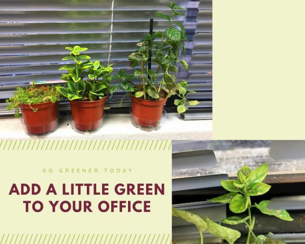 office green