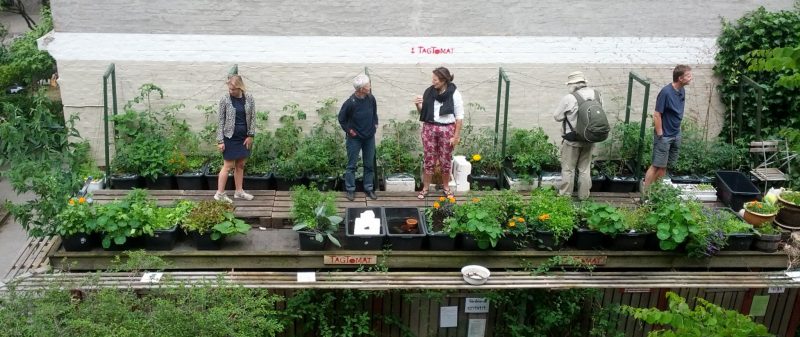 廢物資源回收棚上的屋頂番茄，photo from Tag Tomat website