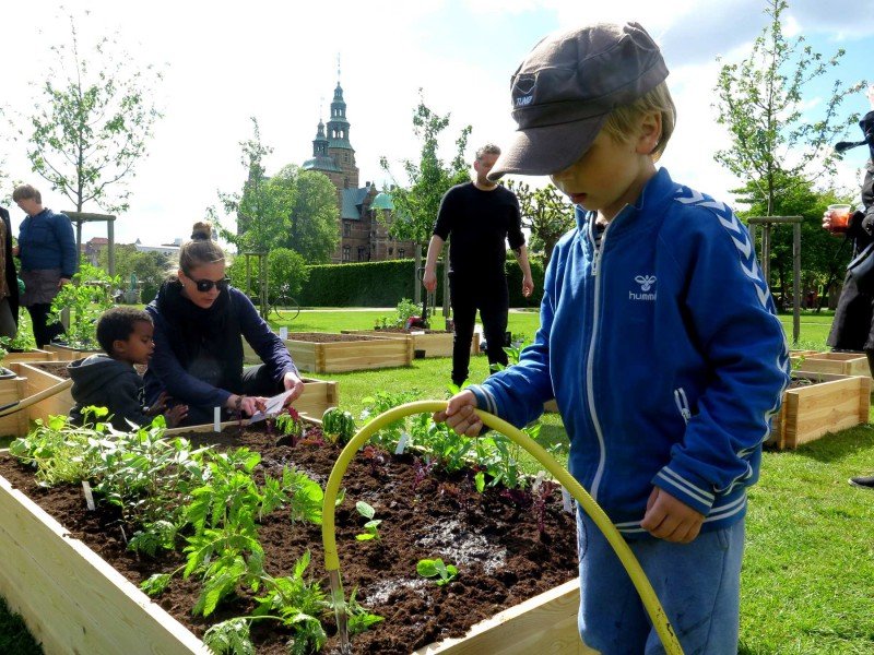 志工男孩幫花圃澆水，photo from Tag Tomat website