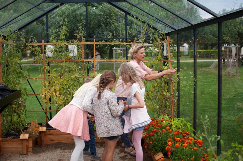 玻璃屋內種植的植物和志工 ，photo from Tag Tomat website