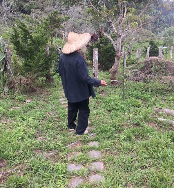 和藹可親的林大哥背影