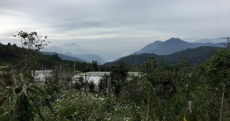 福山有機農場 遠眺曾文水庫