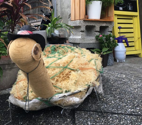 Hito石花凍門口的石花菜龜,背上是烹煮前的石花菜