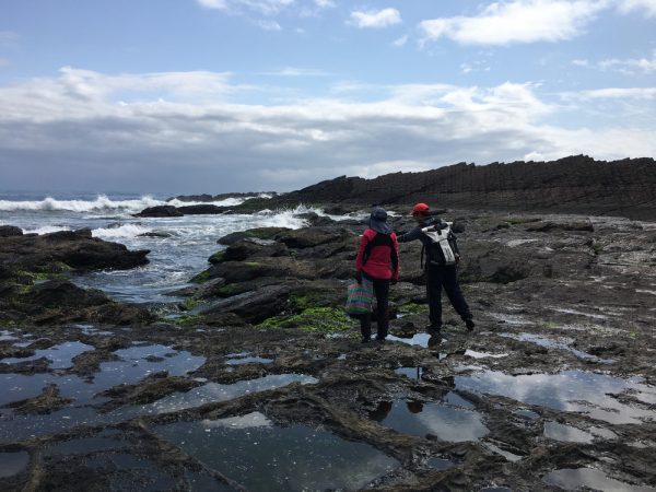 Cathy 和 Steven 認真的在探勘潮間帶