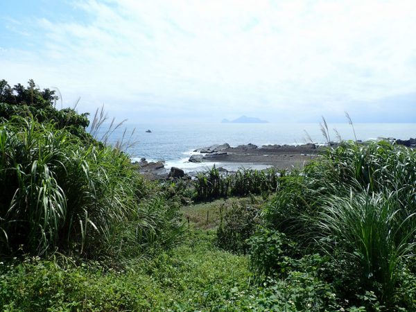 嗨！小龜！舊草嶺古道附近看見的龜山島