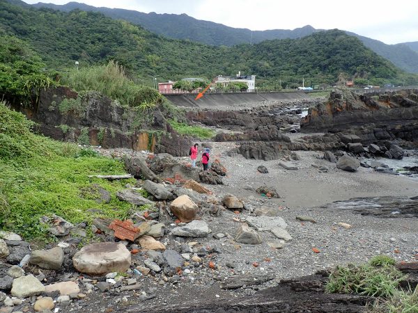 海鳳梨潮間帶探勘