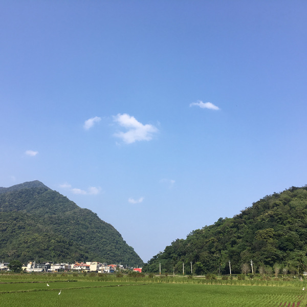 宜蘭南澳_那山那田