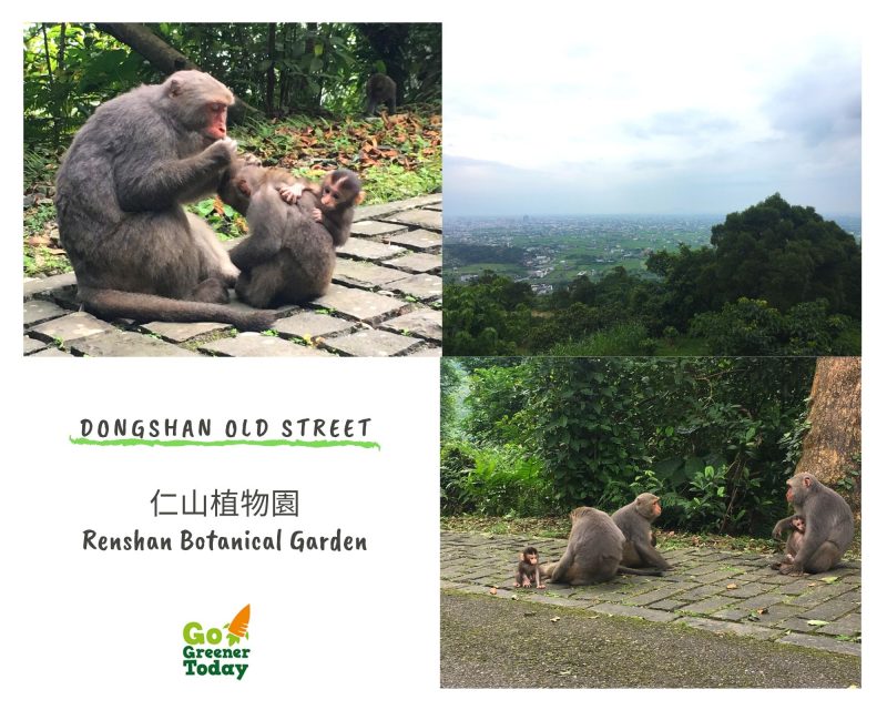 宜蘭仁山植物園