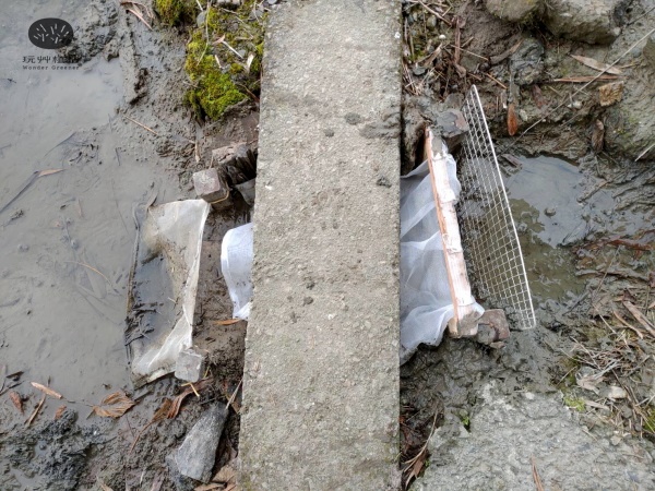 玩艸植造_台灣蒲草田過篩種子設施