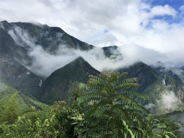 露出墨綠的山頭