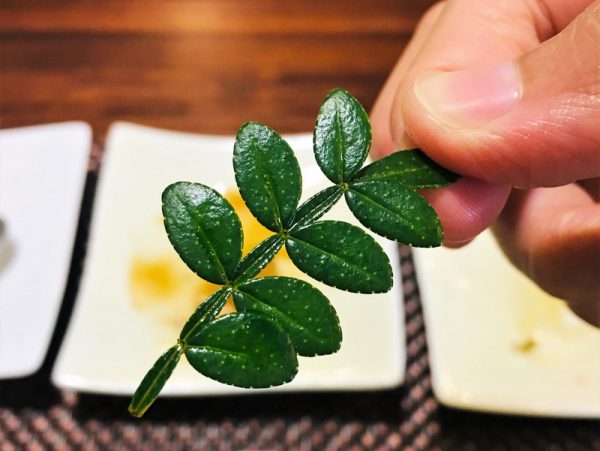 台東素食蔬食_夏安居_胡椒木毛苔豆腐 台東素食蔬食_夏安居_胡椒木毛苔豆腐