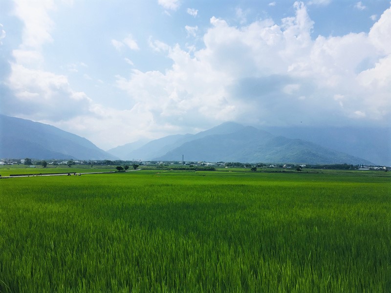 台東池上 台東池上