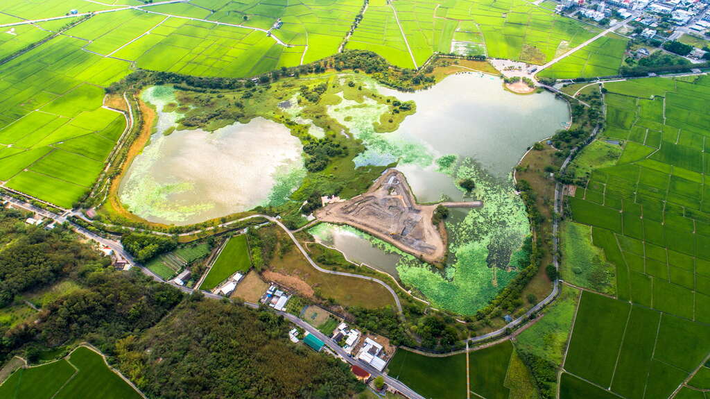 台東池上大坡池