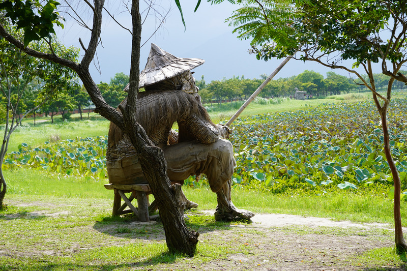 台東池上大坡池