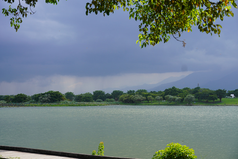 台東池上大坡池