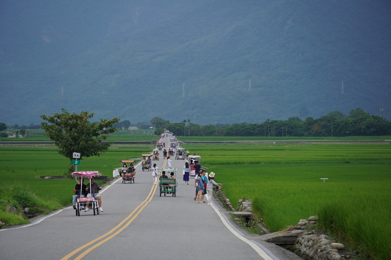 台東池上伯朗大道