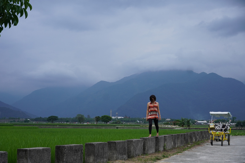 台東池上伯朗大道