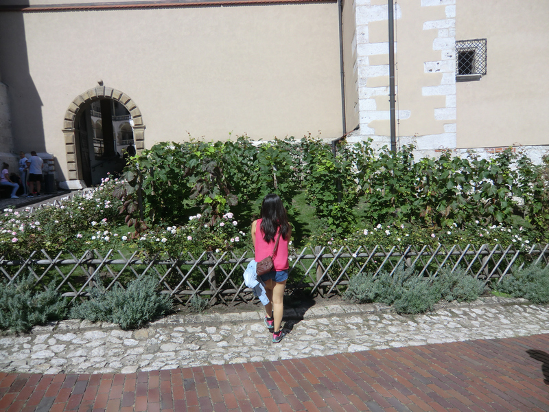 travel with a small bag