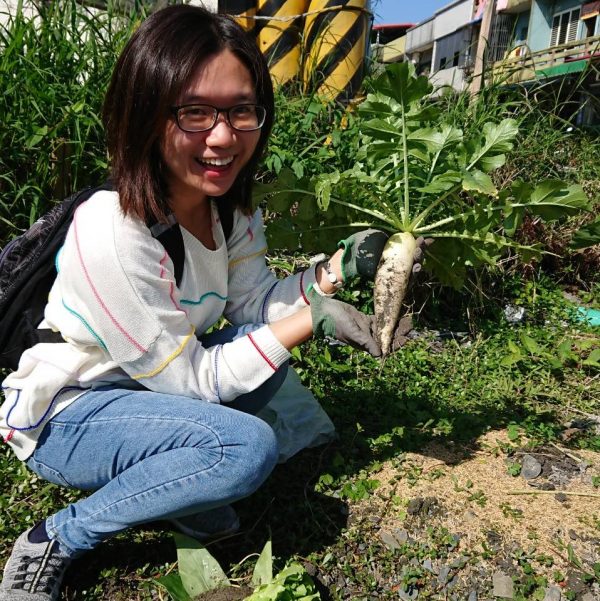 送你好彩頭 送你好彩頭