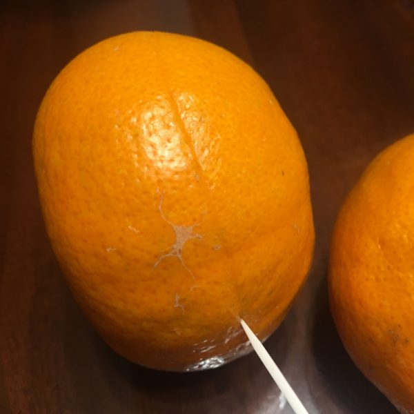橘子植物蠟燭