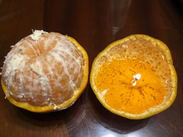 橘子植物蠟燭