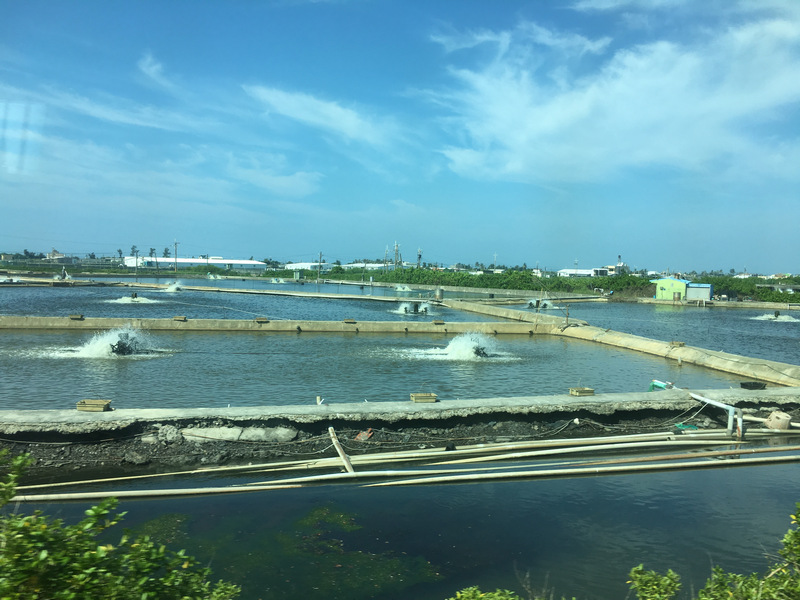 火車窗外的屏東魚塭