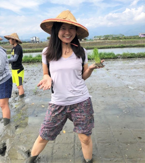 宜蘭三星行健有機村 插秧 宜蘭三星行健有機村 插秧