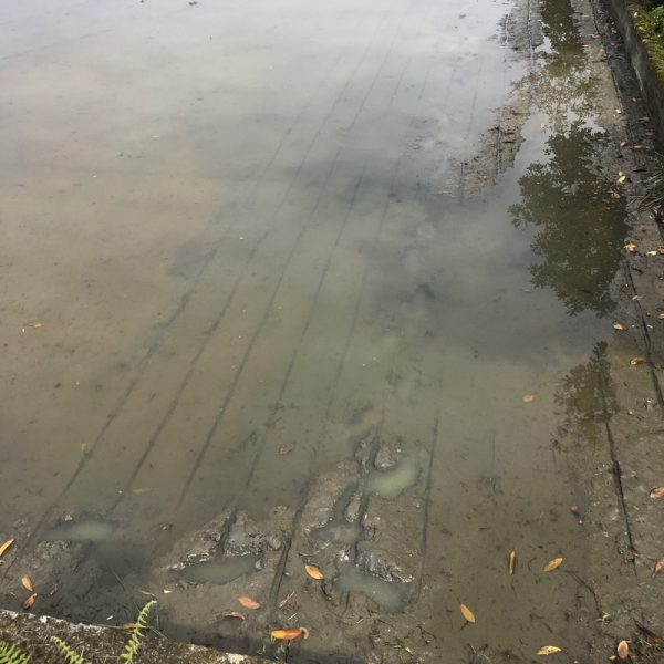 宜蘭三星行健有機村 已用滾輪式正條密植器畫出縱向線 宜蘭三星行健有機村 已用滾輪式正條密植器畫出縱向線