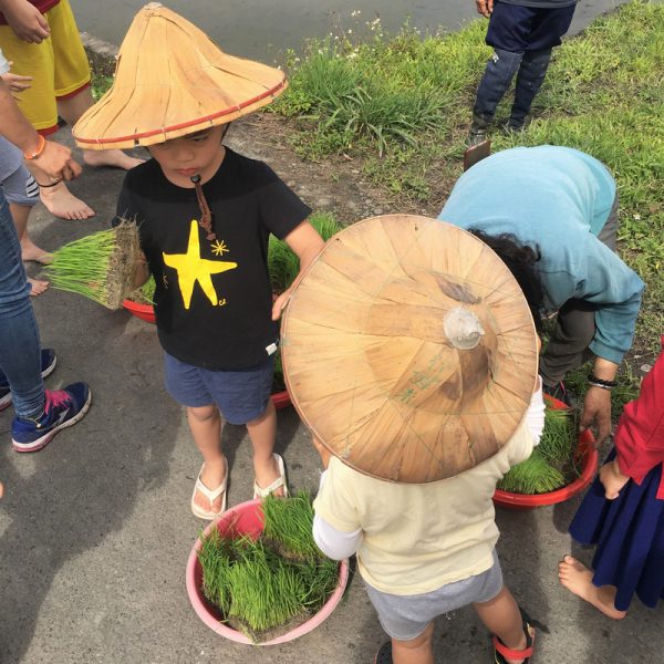 宜蘭三星行健有機村 插秧農事體驗 宜蘭三星行健有機村 插秧農事體驗