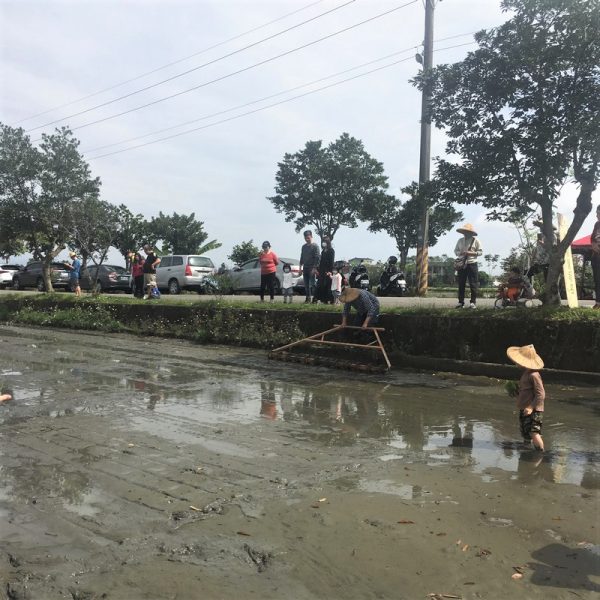 宜蘭三星行健有機村 農夫手中的滾輪式正條密植器 宜蘭三星行健有機村 農夫手中的滾輪式正條密植器