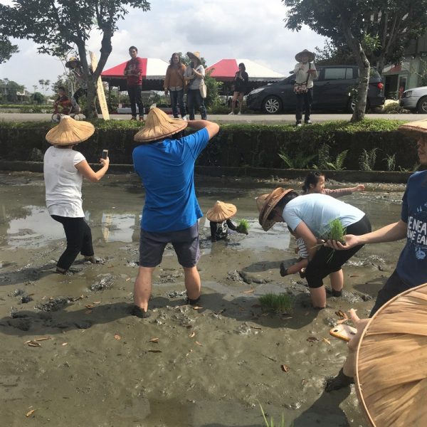 宜蘭三星行健有機村 小朋友已經泡在田裡啦 宜蘭三星行健有機村 小朋友已經泡在田裡啦