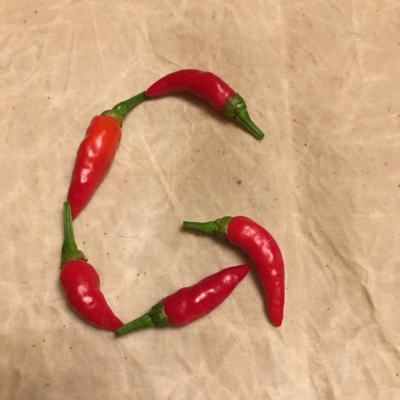 Go Greener的G Go Greener的G