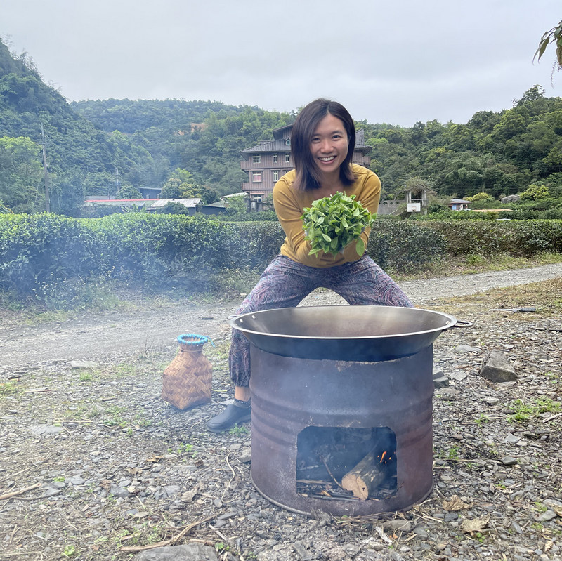 正福茶園_體驗炒茶 正福茶園_體驗炒茶