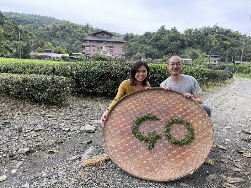 正福茶園_體驗製茶