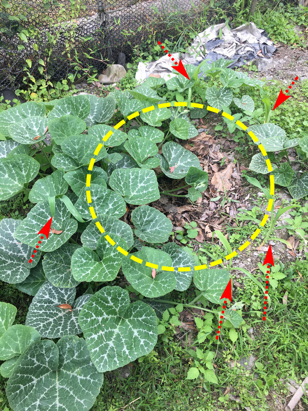 還是有功能的堆肥圈