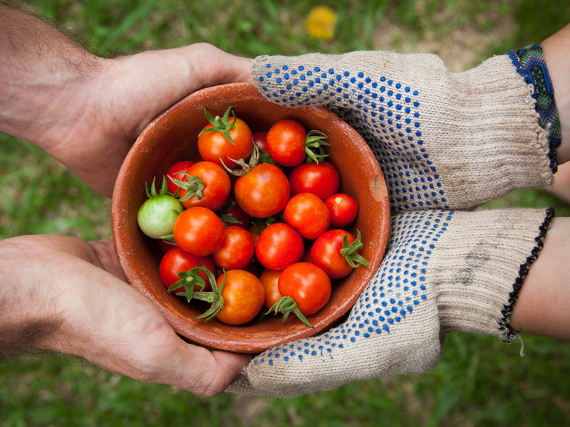 網購蔬菜箱 食物