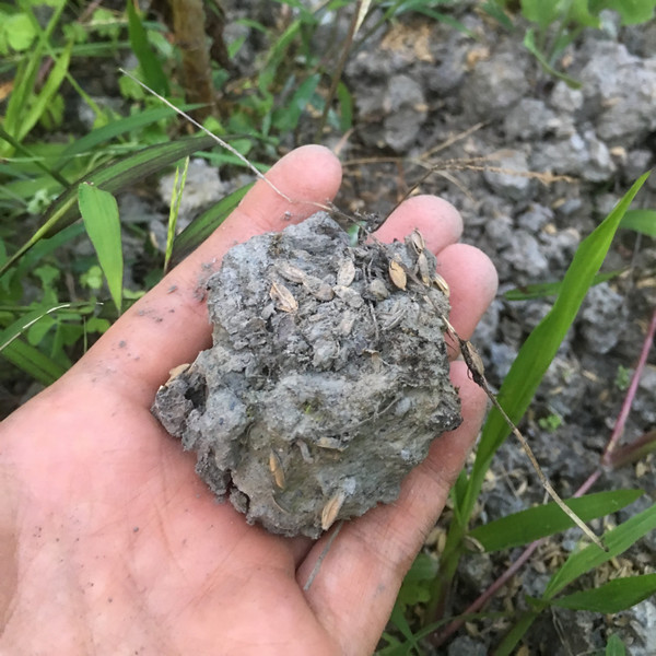 像乾掉水泥的土壤 像乾掉水泥的土壤