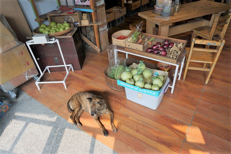 宜蘭員山 深溝共同店 宜蘭員山 深溝共同店