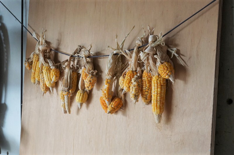 宜蘭員山 深溝共同店 宜蘭員山 深溝共同店