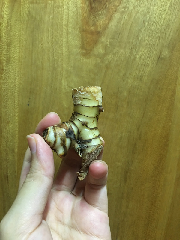 新鮮南薑 新鮮南薑