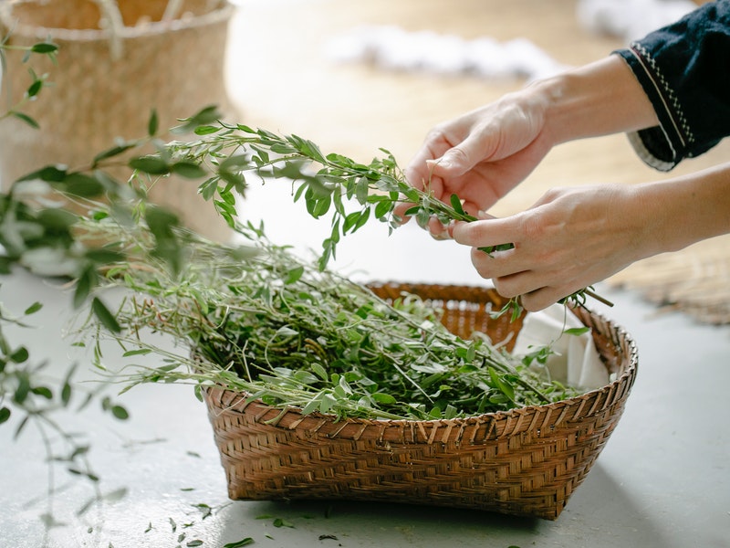 最簡單的植物成分