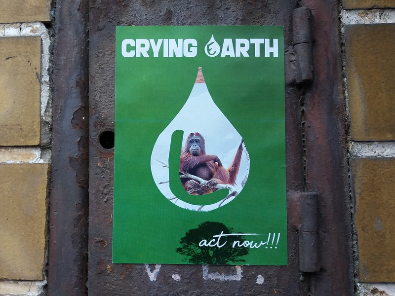 無棕櫚油認證&網路資源