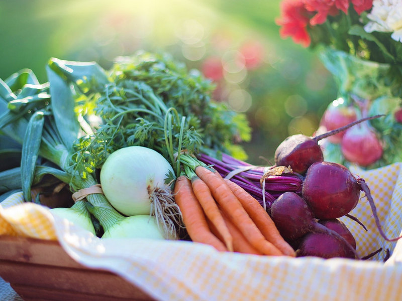 無棕櫚油_吃原型食物