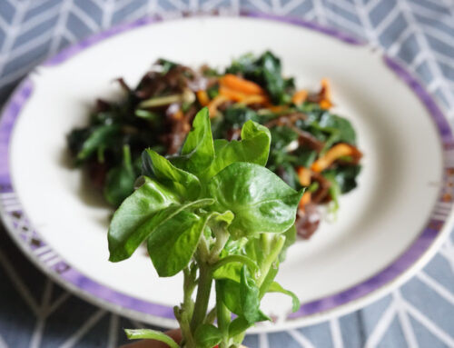 原來巴西菠菜吃起來的口感是這樣！