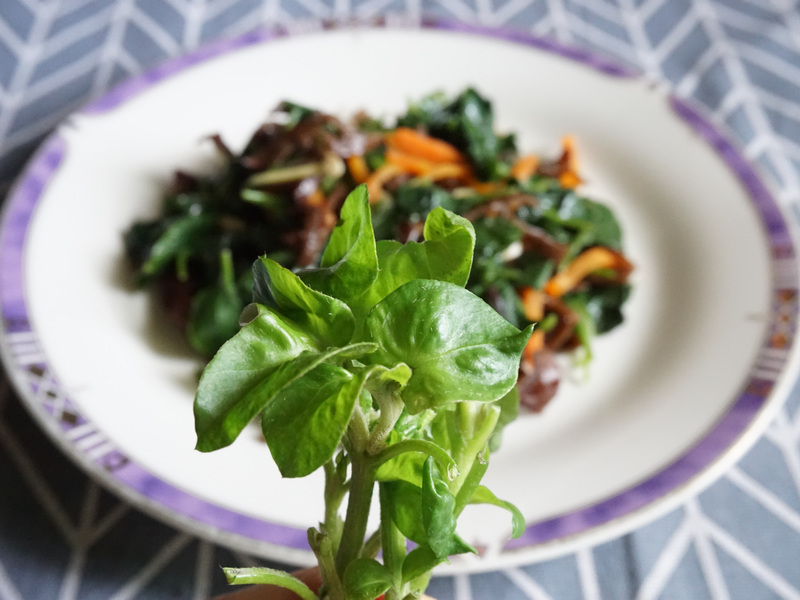 嘟嘟配_巴西菠菜 Brazilian spinach