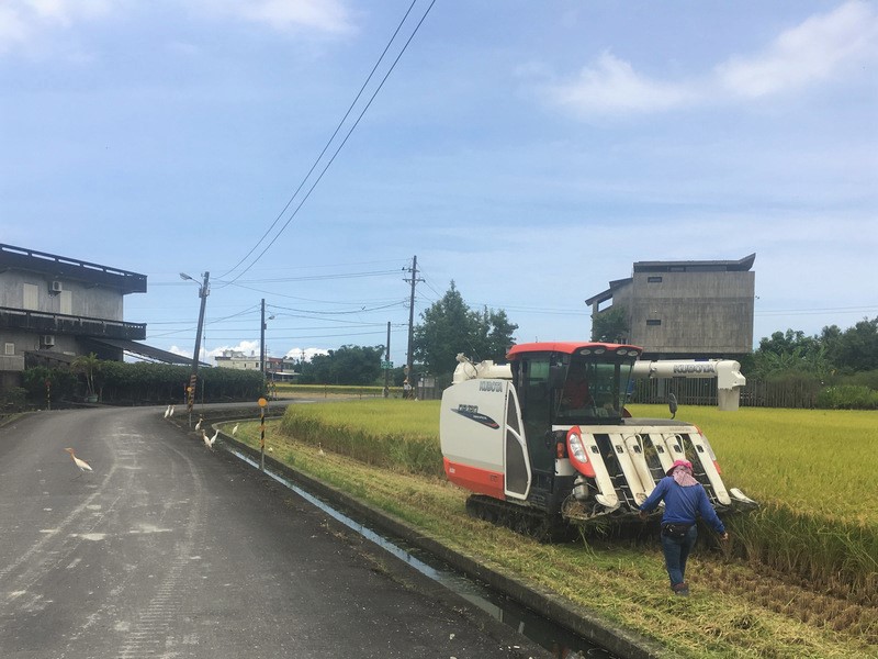 宜蘭稻田 宜蘭稻田