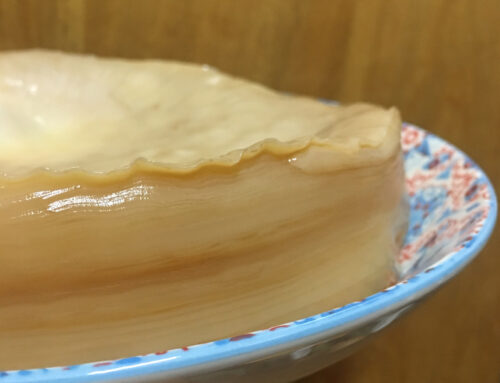 好像千層蛋糕！康普茶菌母試入菜，結果……