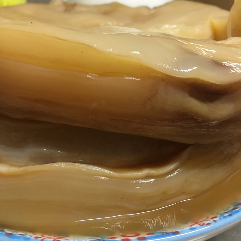 kompucha scoby 康普茶菌母