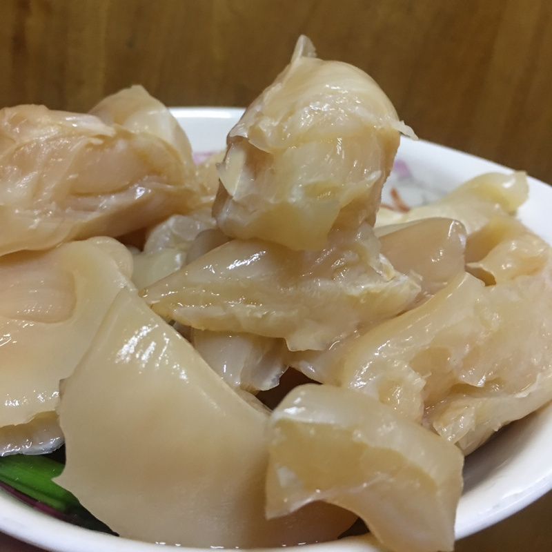 kompucha scoby 康普茶菌母